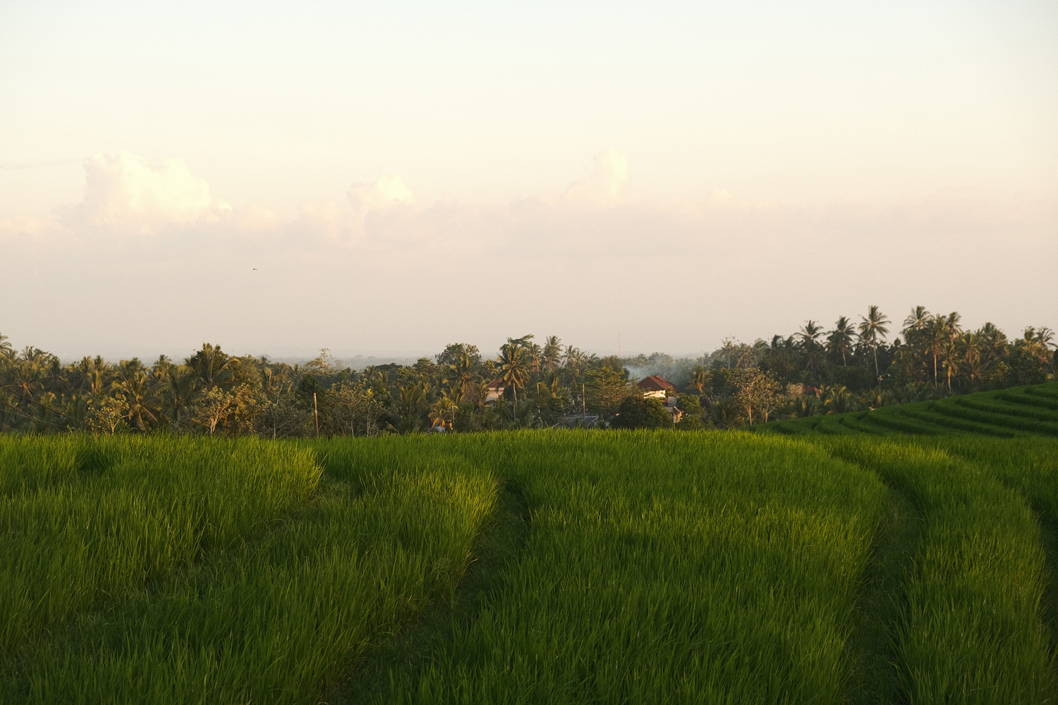 Eco-Friendly & Sustainable living in Bali